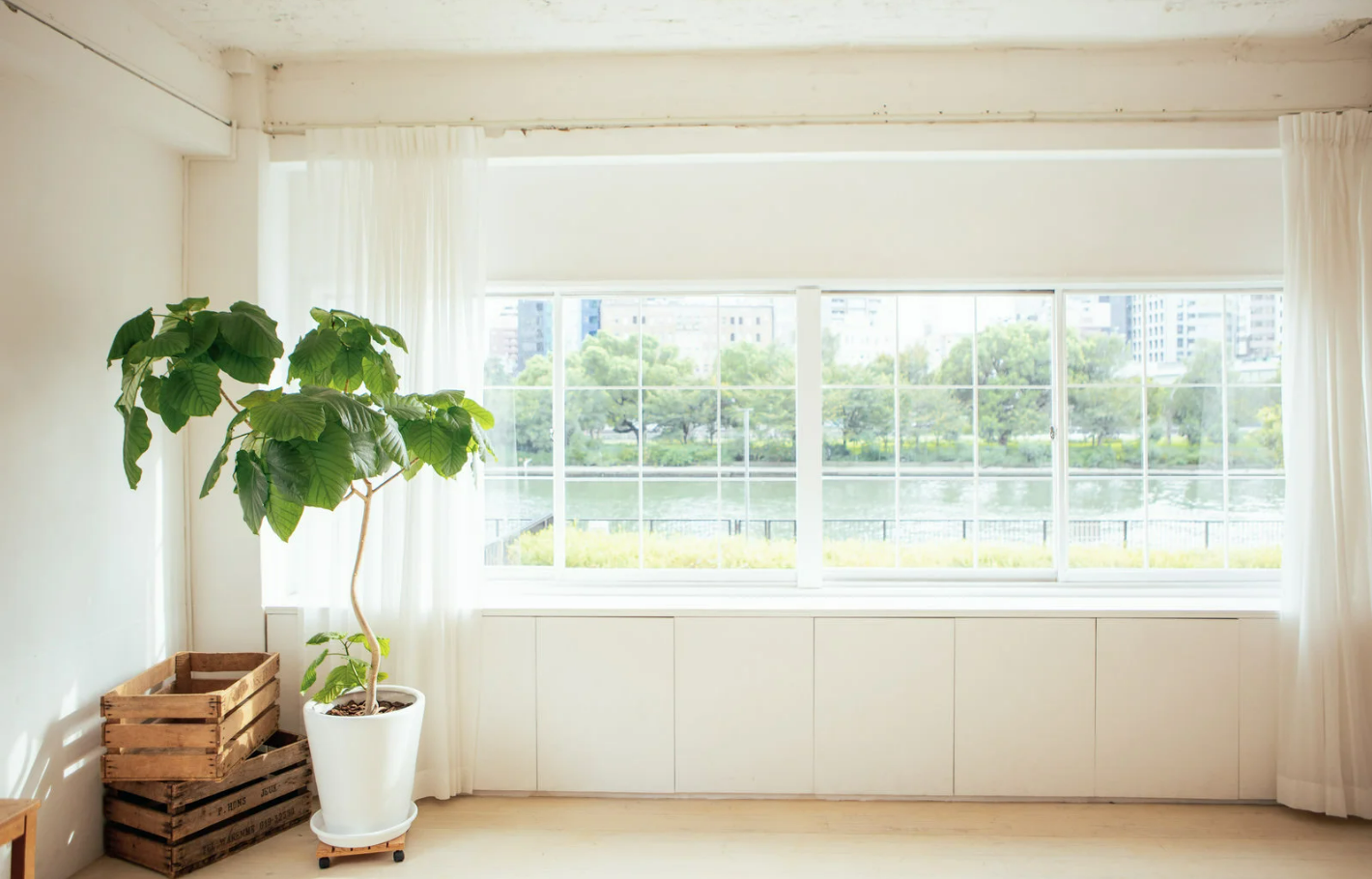 窓フィルム　朝日に差し込む窓